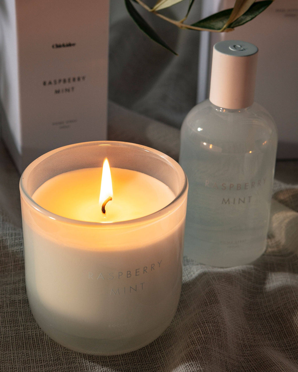 Raspberry Mint Neutral Core Candle Small - Abhaile Interiors